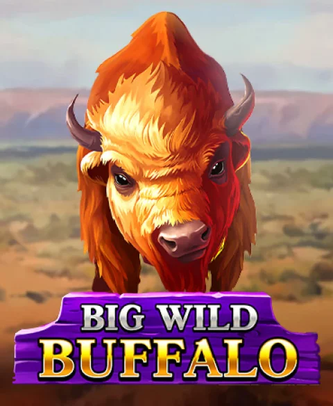Zagraj w Big Wild Buffalo w kasynie Bingo Zino